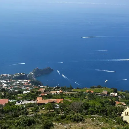 Couette-café Leonardo's